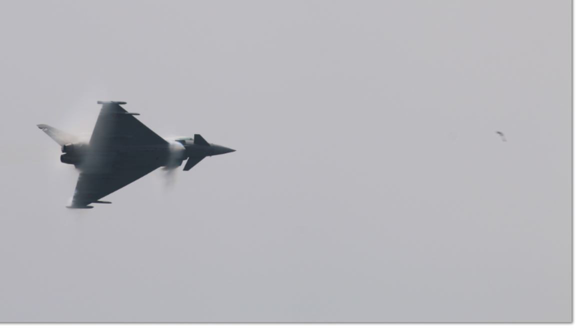 Momento justo anterior de la colisiu00f3n el Eurofighter en la exhibiciu00f3n Aire 25 contra un ave que aparece a la derecha de la imagen. Foto. Ginu00e9s Soriano Forte   Infodefensa