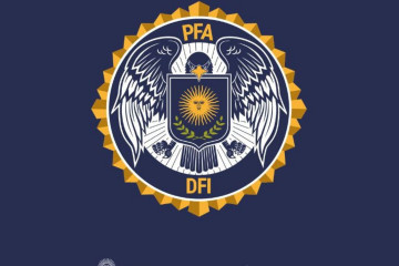 Logo DFI   PFA