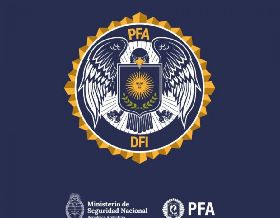 Logo DFI   PFA