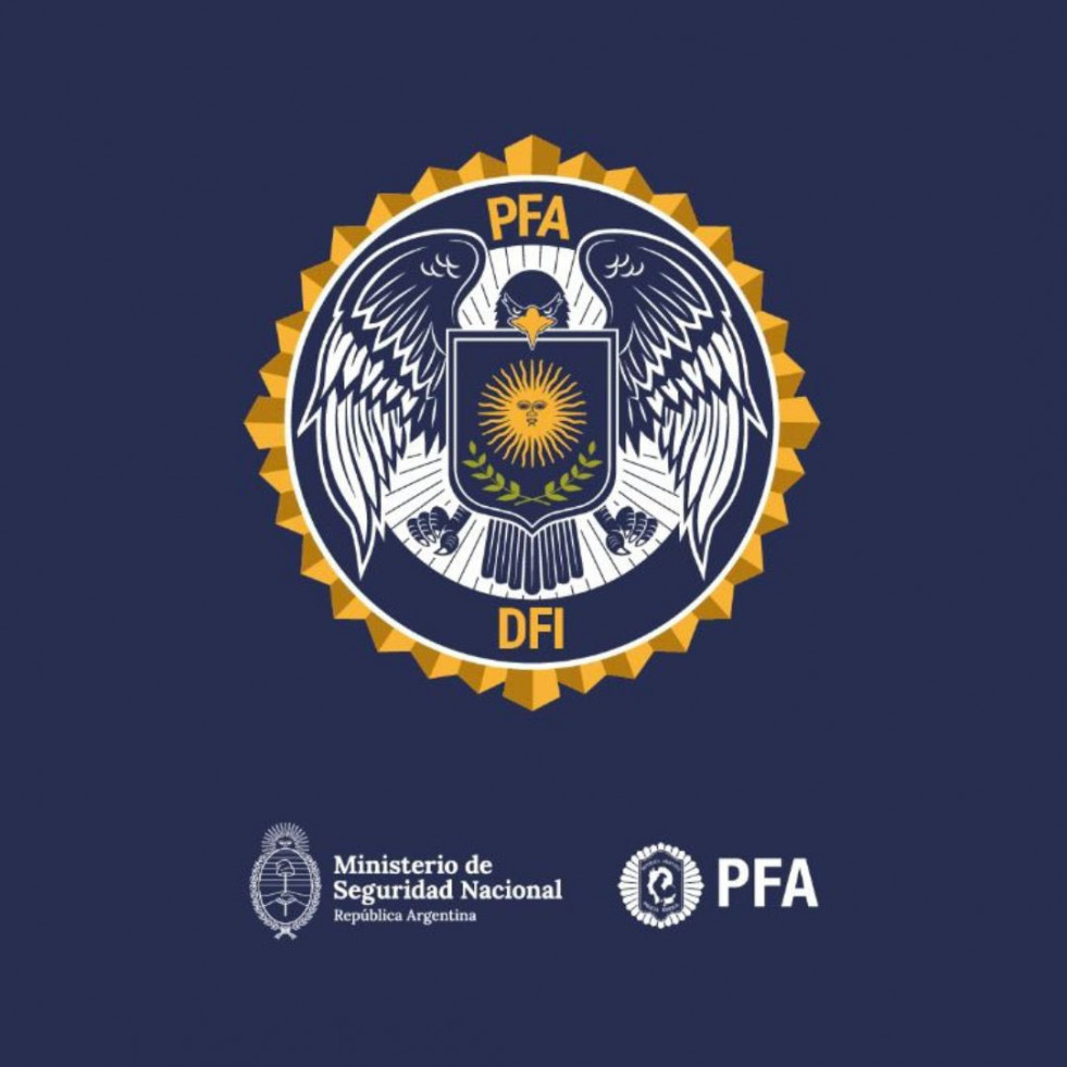 Logo DFI   PFA