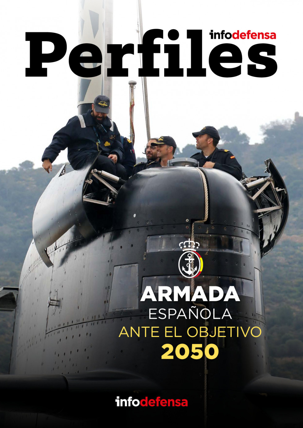 Perfiles Armada Objetivo 2050