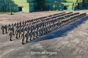 IMG 0517