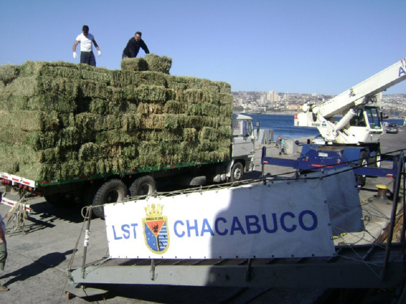 Carga de fardos de pasto para ganado en la barcaza LST 92 Chacabuco en el molo de abrigo de Valparau00edso para la Regiu00f3n de Magallanes y Antu00e1rtica Chilena Firma Armada de Chile 002