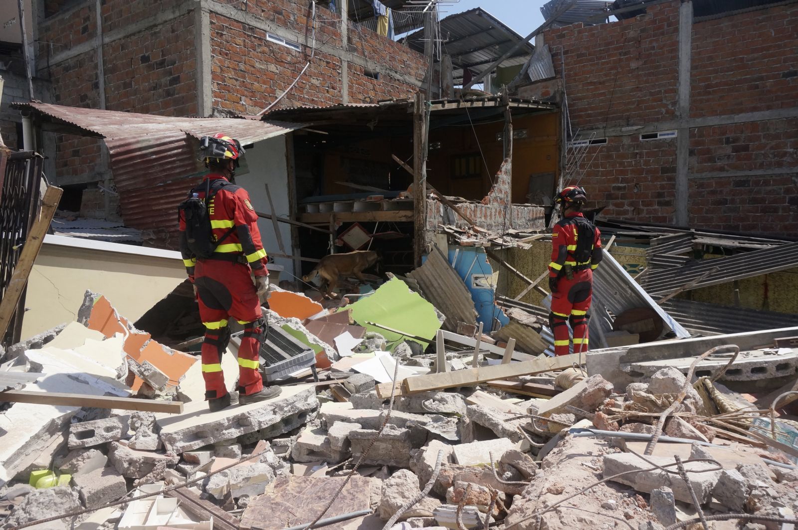 La UME en el terremoto de Ecuador de 2017